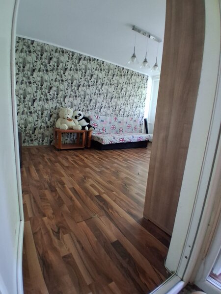 Petre Ispirescu, Str. Vicina,